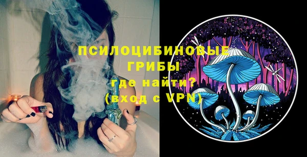 прущие грибы Корсаков