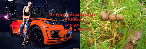 бутират Заволжск