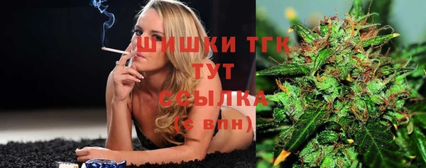 молекула духа Заводоуковск