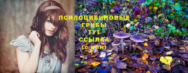 молекула духа Заводоуковск