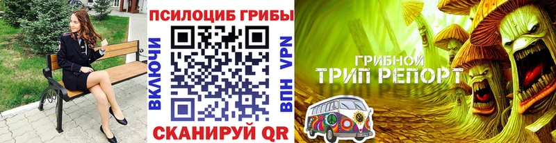 mega Жиздра Галлюциногенные грибы MAGIC MUSHROOMS