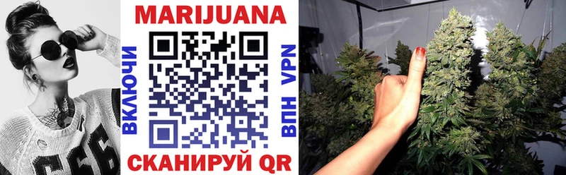 где продают наркотики  Жиздра  Каннабис Amnesia 